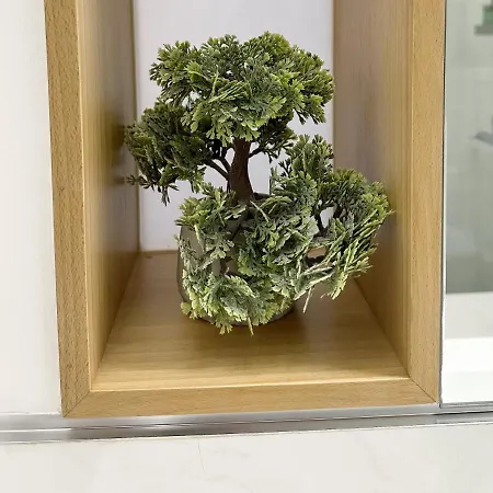 Rosario 1e By Rosario Daire *